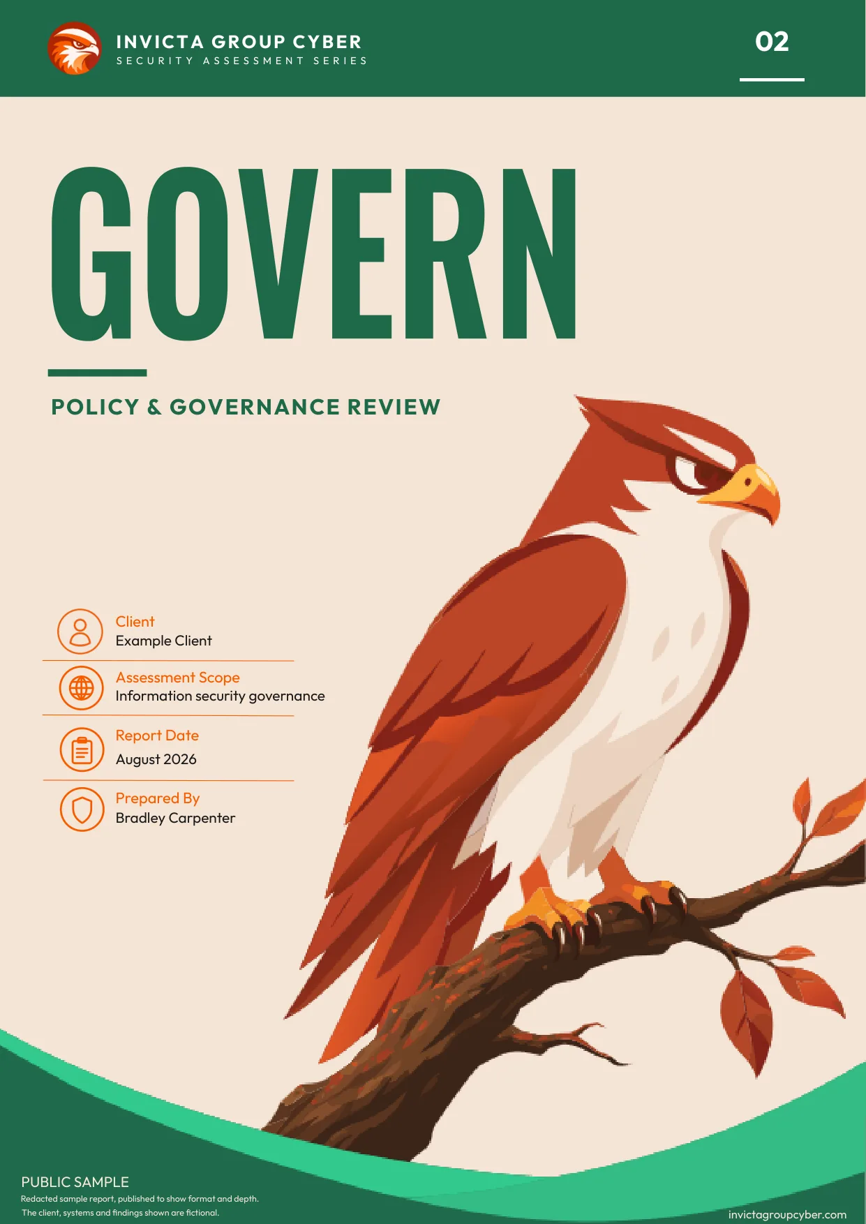 Sample Policy & Governance Review cover: Govern, number 02 in the assessment series
