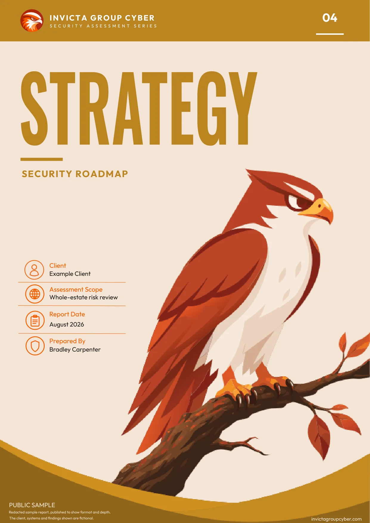 Sample Security Roadmap cover: Strategy, number 04 in the assessment series